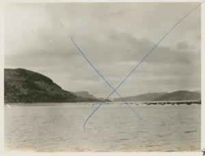 Image of Looking down Anetalak Bay from  Scientific Station